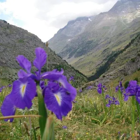 Сasa de vacaciones Cosy House + Mountain View *