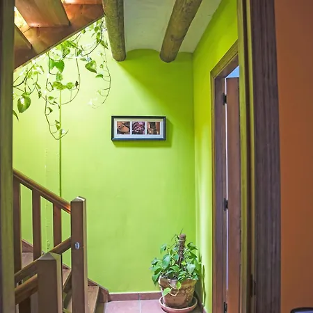 Сasa de vacaciones Cosy House + Mountain View