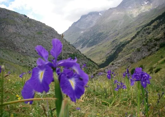 度假居 Cosy House + Mountain View *
