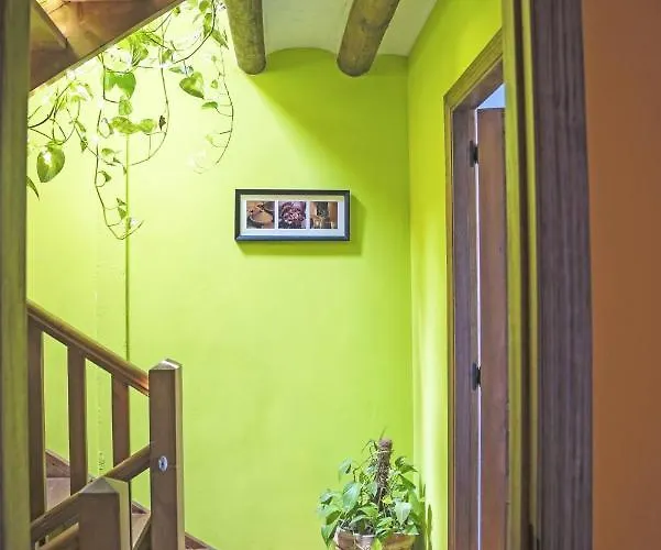 度假居 Cosy House + Mountain View Belsierre